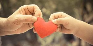 Understanding Estate Planning NY