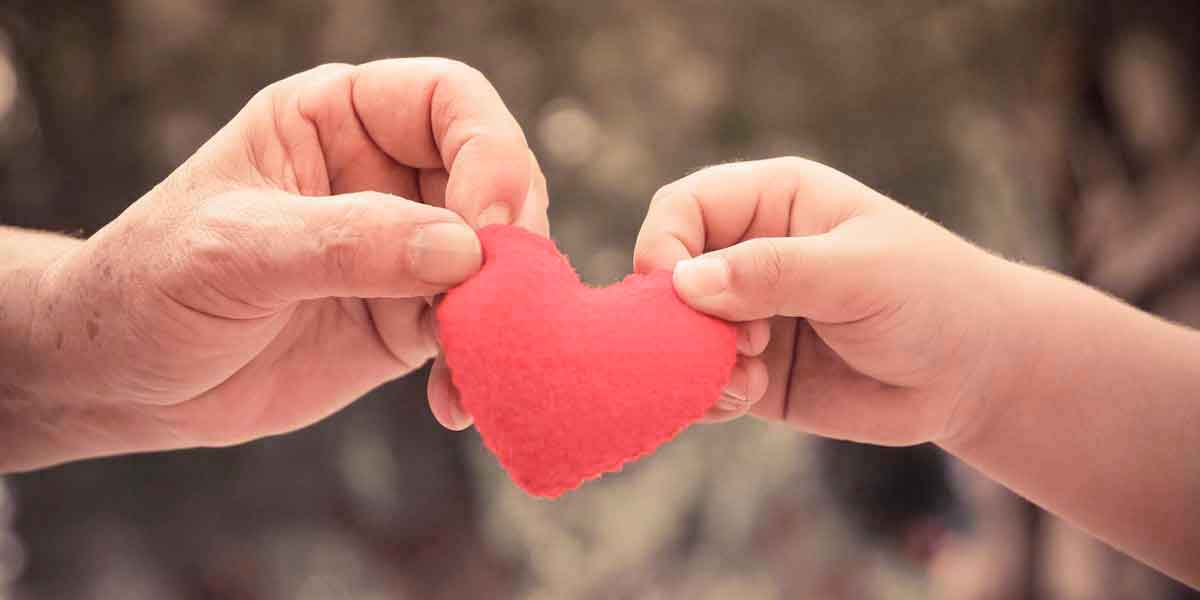 How Can An Estate Planning Lawyer Help Your Business? Call us today.