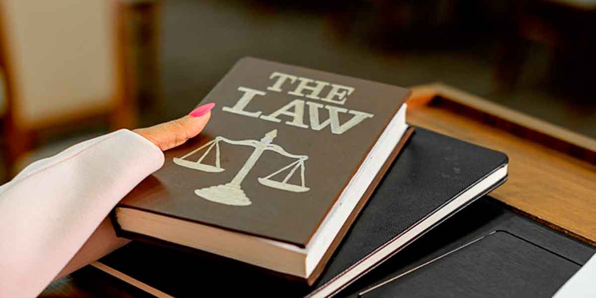 Types of Guardianships in NYC To Know About Before Filing